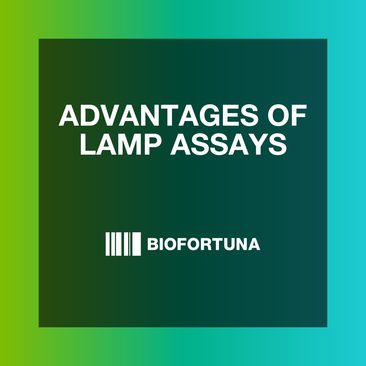 BiofortunaLtd's tweet image. Revolutionising diagnostics with LAMP assays! 🔬

LAMP is a robust, versatile alternative to traditional PCR, simplifying workflows &amp;amp; creating opportunities for accurate, affordable diagnostics away from the lab 📲 tinyurl.com/hw2dyja7

#LAMP #AssayDevelopment #Diagnostics