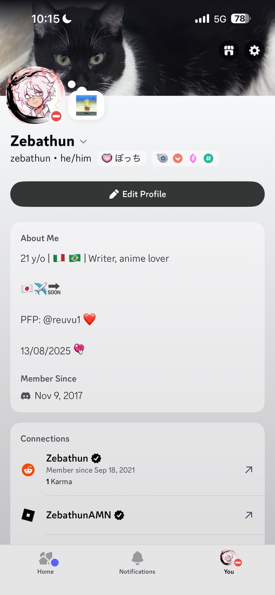 chat rate my discord profile from 1 to 10