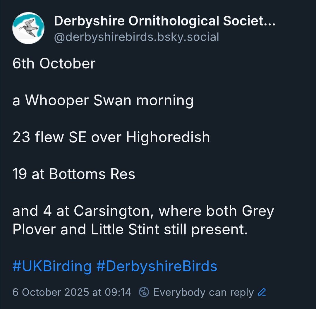 Derbyshire Ornithological Society (DOS) (@derbyshirebirds) on Twitter photo 