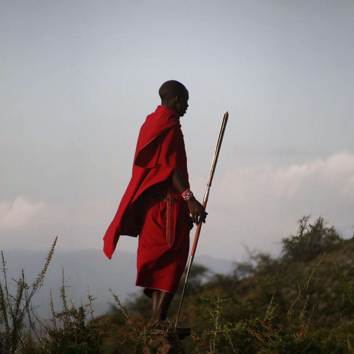 HSCSystemsLTD's tweet image. Weathering the Wild: From the wild heart of the Maasai Mara, we built a system that listens to the weather and protects what matters most for one of the region’s top resorts.
#SmartEngineering #MaasaiMara #ICT #ELV #WeatherMonitoring