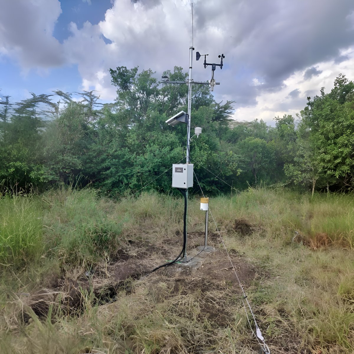 HSCSystemsLTD's tweet image. Weathering the Wild: From the wild heart of the Maasai Mara, we built a system that listens to the weather and protects what matters most for one of the region’s top resorts.
#SmartEngineering #MaasaiMara #ICT #ELV #WeatherMonitoring