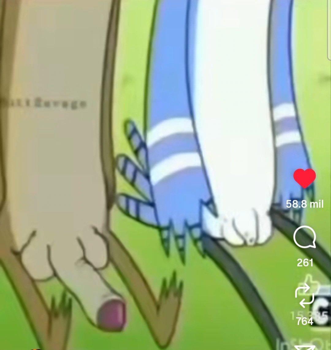 ❌🦔 Jehkehl tweet media