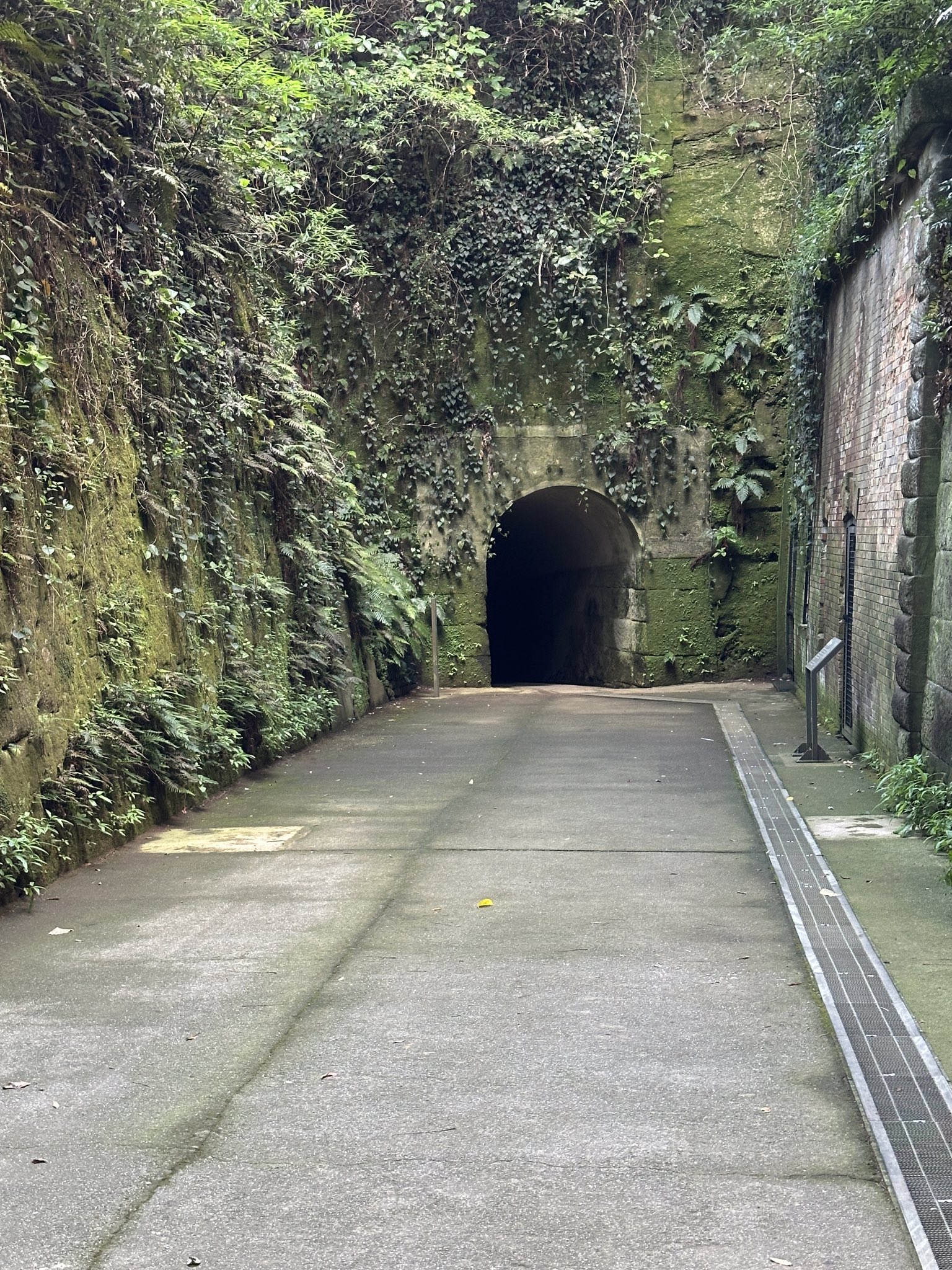 reo (@e231e233e531) / X