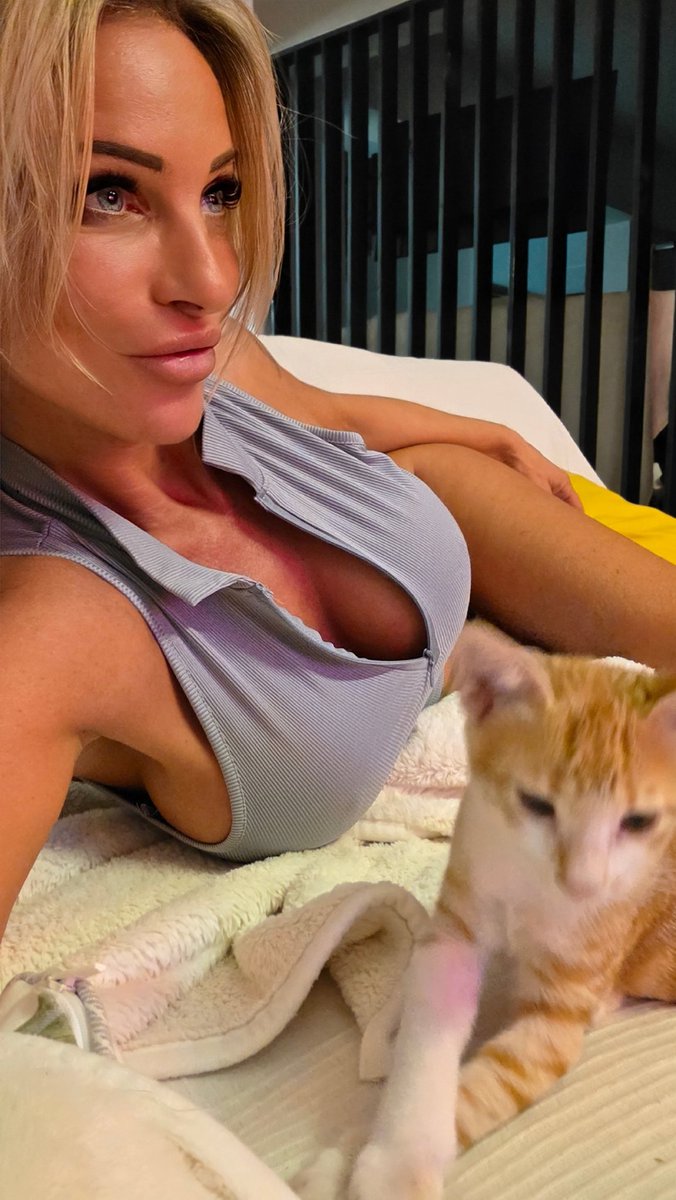 RealCandysamira's tweet photo. Good morning everyone! Wishing you all a great start into the week. I have to take my cats to the vet early today, so I'm on the go already. πΎβοΈ#MondayVibes #CatMomLife #MorningMood #WeeklyStart https://t.co/ByBqflRbvI