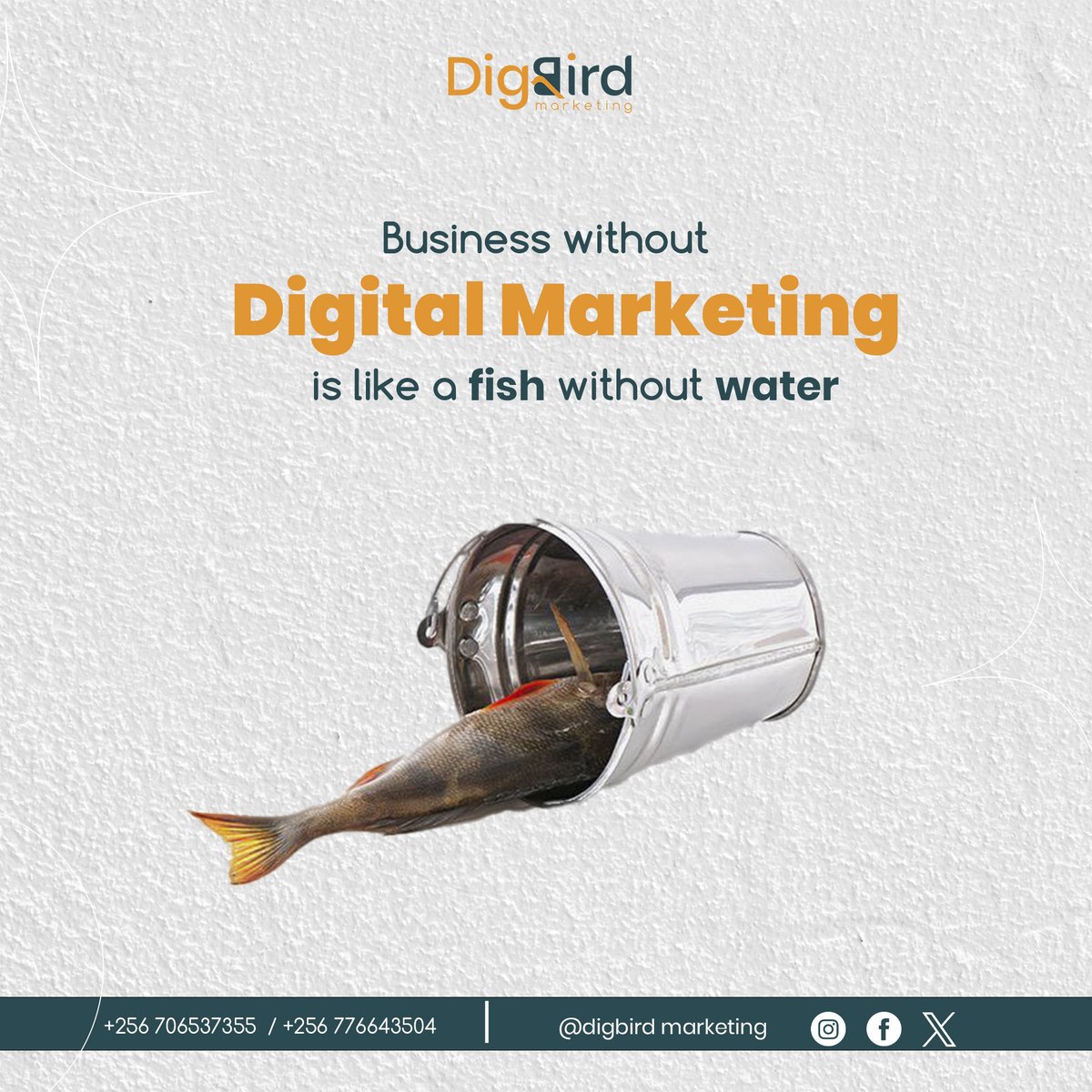 A business without digital marketing is like a fish without water — it won’t last long.
This week, make your brand breathe online and ride the digital wave. 🌊

#DigitalMarketing #BusinessGrowth #Entrepreneur #OnlineBusiness #MarketingTips