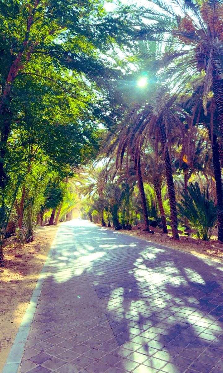 AlaidaaNaifa's tweet image. أجمل ما في الصباح، أن تبدأه بإحساس نحو الآخرين…
فالقلب الإنساني هو أول ضوءٍ يشرق قبل الشمس. 🌞 …….

(ليس هناك عظمة في أن تكون إنسانًا، إلا بقدر ما فيك من إحساس بالآخرين.)

ألبيركامو

#العلا