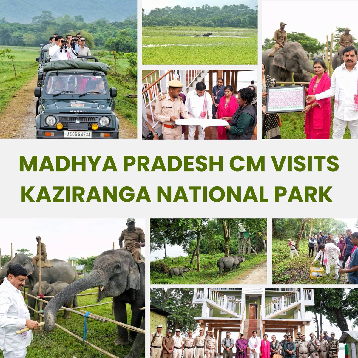 TourMyIndiaa's tweet image. Madhya Pradesh CM Visits Kaziranga National Park: Praises Assam’s Rhino Conservation, Seeks to Adopt Wildlife Model

Read detailed information at: tinyurl.com/mp-cm-visits-k…

For more about Kaziranga National Park, visit: Kaziranga-National-Park.com

#Kaziranga #MPCM #MadhyaPradeshCM