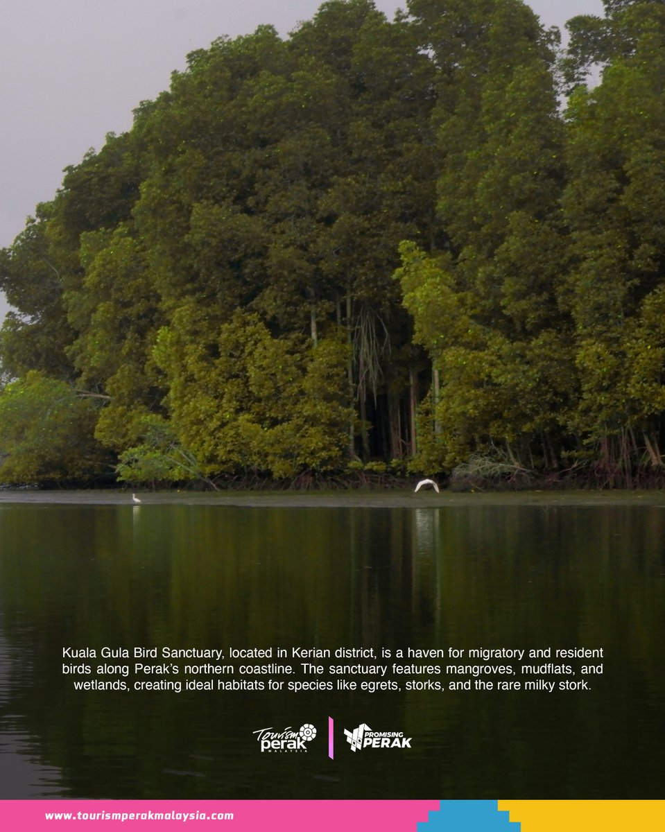 Tourism Perak tweet media