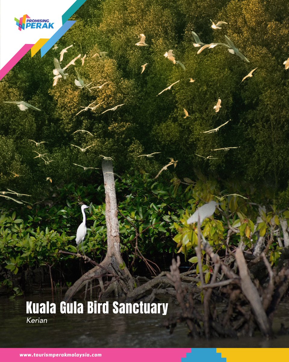 Tourism Perak tweet media