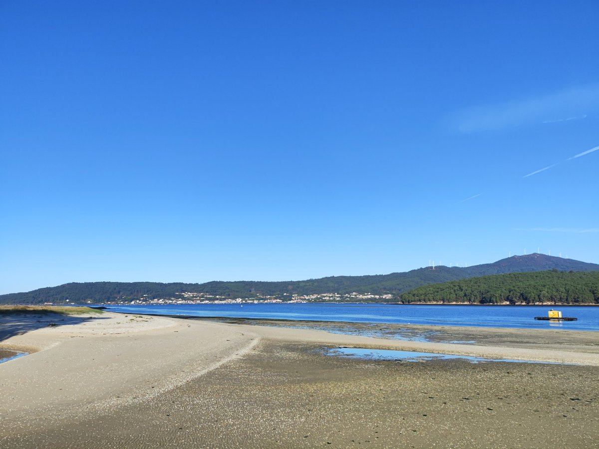 📢 Inicio da campaña de marisqueo na Ría de Noia. 🌊 #ConfrariaDeNoia #CampañaMarisqueoNoia2025 #BerberechodeNoia #Noia #Xesmar