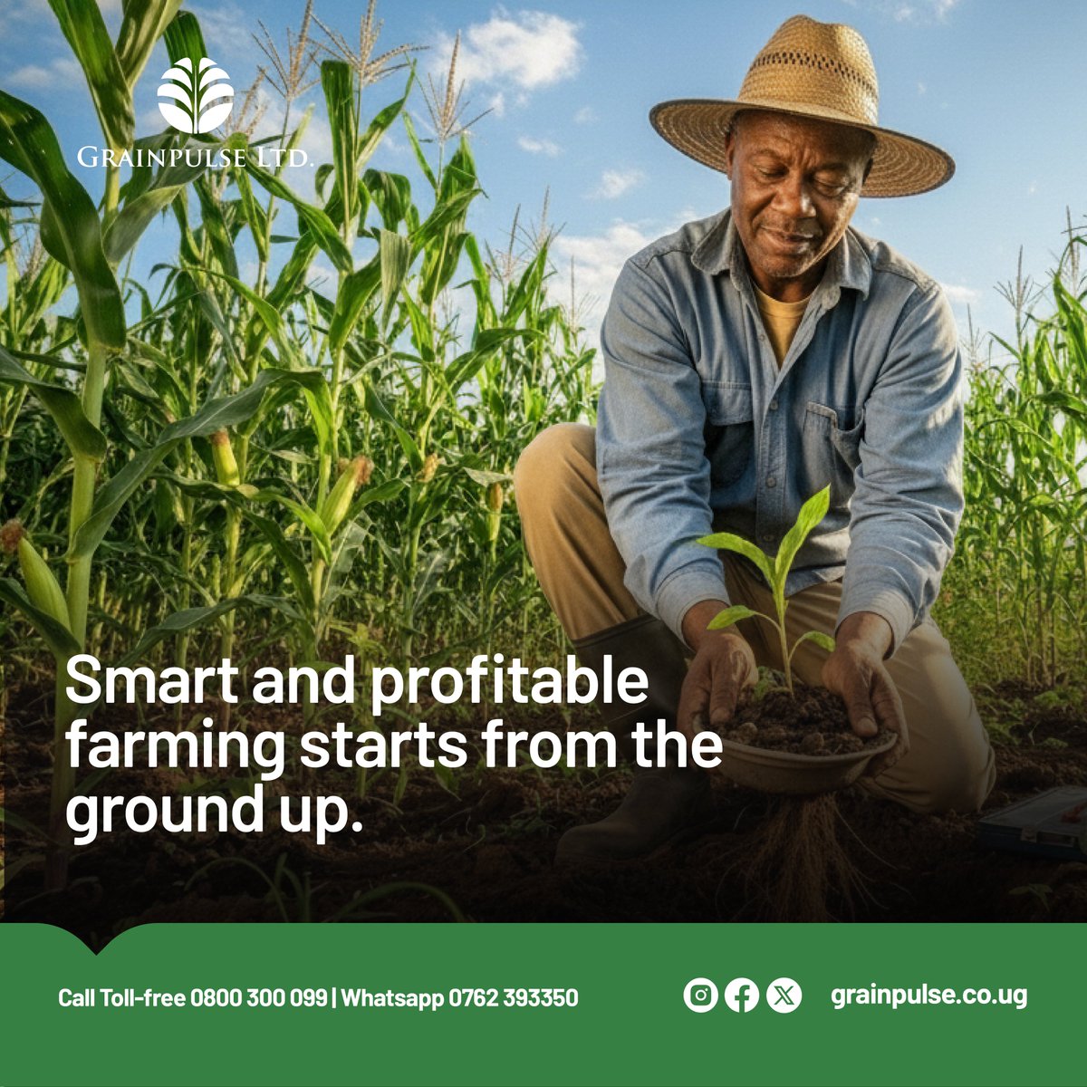 GrainpulseUG's tweet photo. A brand-new week, a fresh opportunity to invest wisely, starting from the ground up. 👩🏾‍🌾

Smart and profitable farming begins with smart choices: from enriching your soil to applying the right crop nutrients that ensure proper absorption and healthy growth. When your soil thrives, your harvest follows, and so does your profit.

At Grainpulse, we’re here to help you make every decision count with quality crop-specific fertilisers, soil testing, and expert agro solutions that keep your farm productive and sustainable all season long.

Because when you start right, you grow right. 🌾#HappyNewWeek