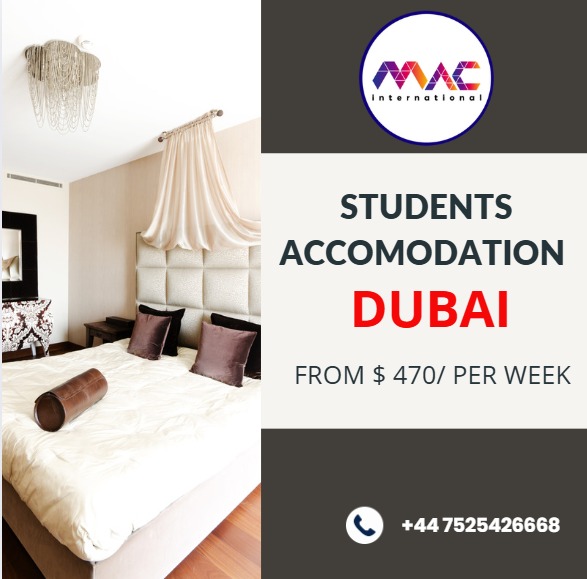 MacinterYd's tweet image. 