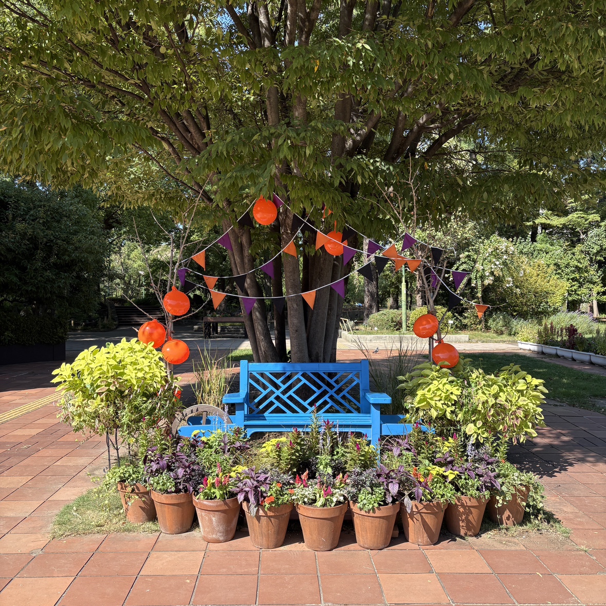 tsurumapark's tweet image. 秋のフォトスポット①🎃

緑化センター前にある、青いベンチとハロウィンのカボチャを連想させるオレンジ色の対比がかわいいフォトスポットです！✨

大きなケヤキの木を背景に、ハンギングバスケットや寄せ植えのプランターも楽しみながら、青いベンチに座って写真を撮ってみてください📸

#鶴舞公園
