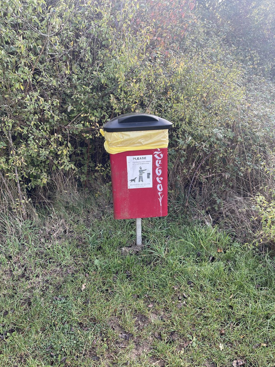 Brian Millin tweet media