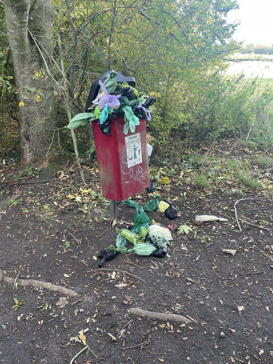 Brian Millin tweet media