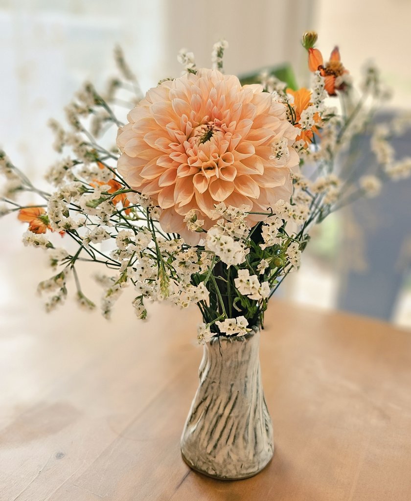 Hanana さま　専用ページ ふしあな | fsiana (@PSOana) / X