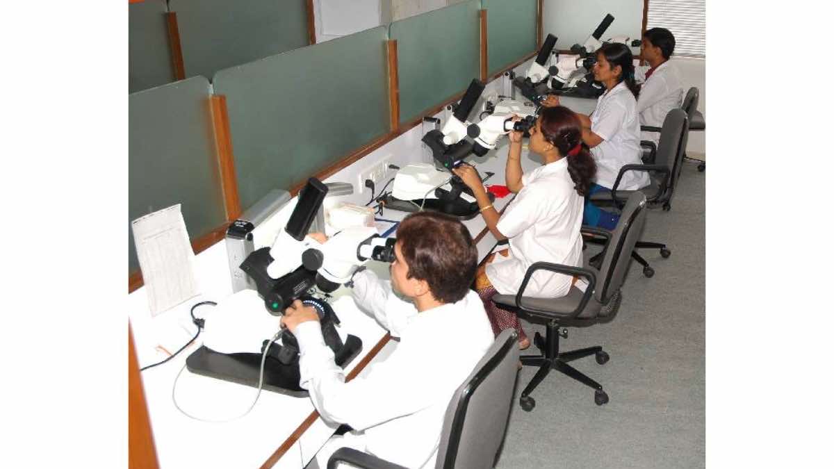 DiamondCityNews's tweet image. જેમોલોજિકલ ઇન્સ્ટિટ્યૂટ ઓફ ઇન્ડિયા (GII)ને ડાયમંડ ગ્રેડિંગ લેબોરેટરી માટે NABL માન્યતા મળી

DIAMOND CITY NEWS, SURAT

#DiamondCityNews #DiamondGrading #DiamondIndustry #DIAMONDNEWS #GemmologicalInstituteofIndia #GII #LabGrownDiamonds #MehulShah #NABL

diamondcitynews.com/gemological-in…