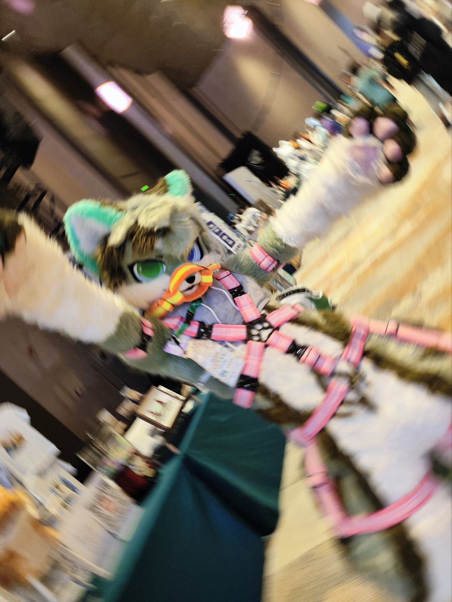 世界翻转!
📷：龙行