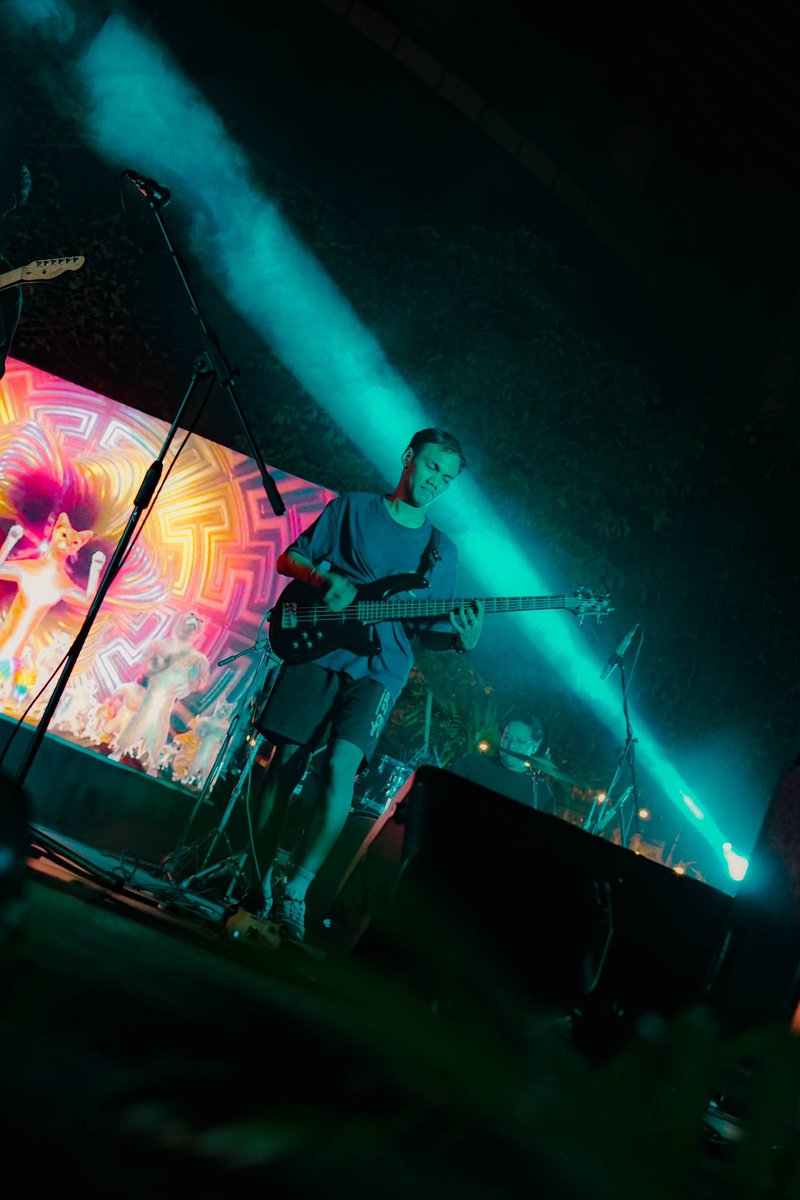 pawsletter tweet media