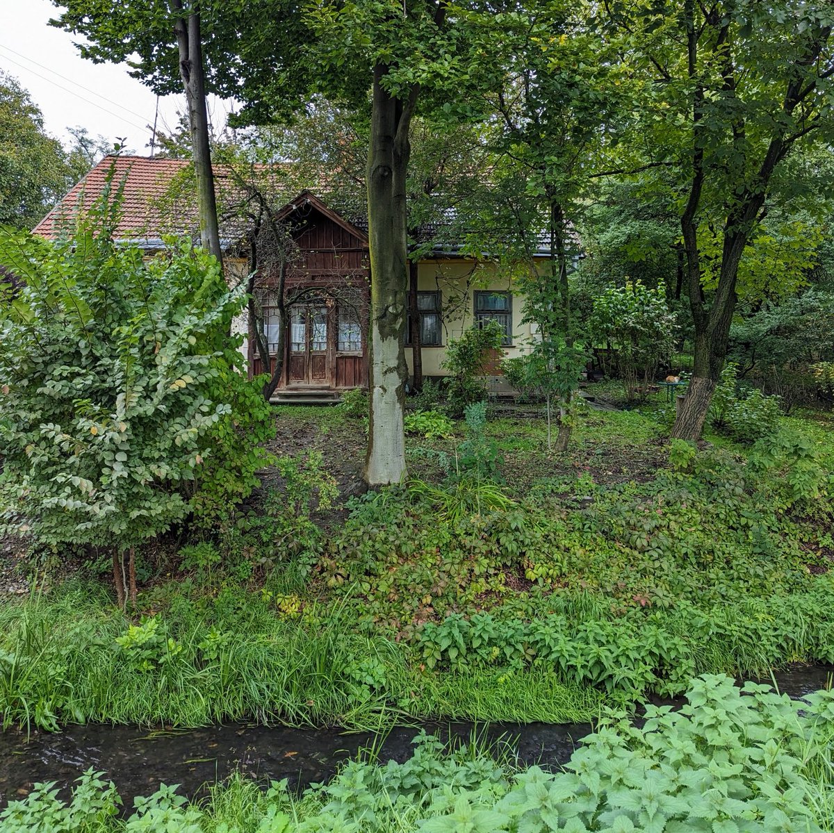 Коломия топ!