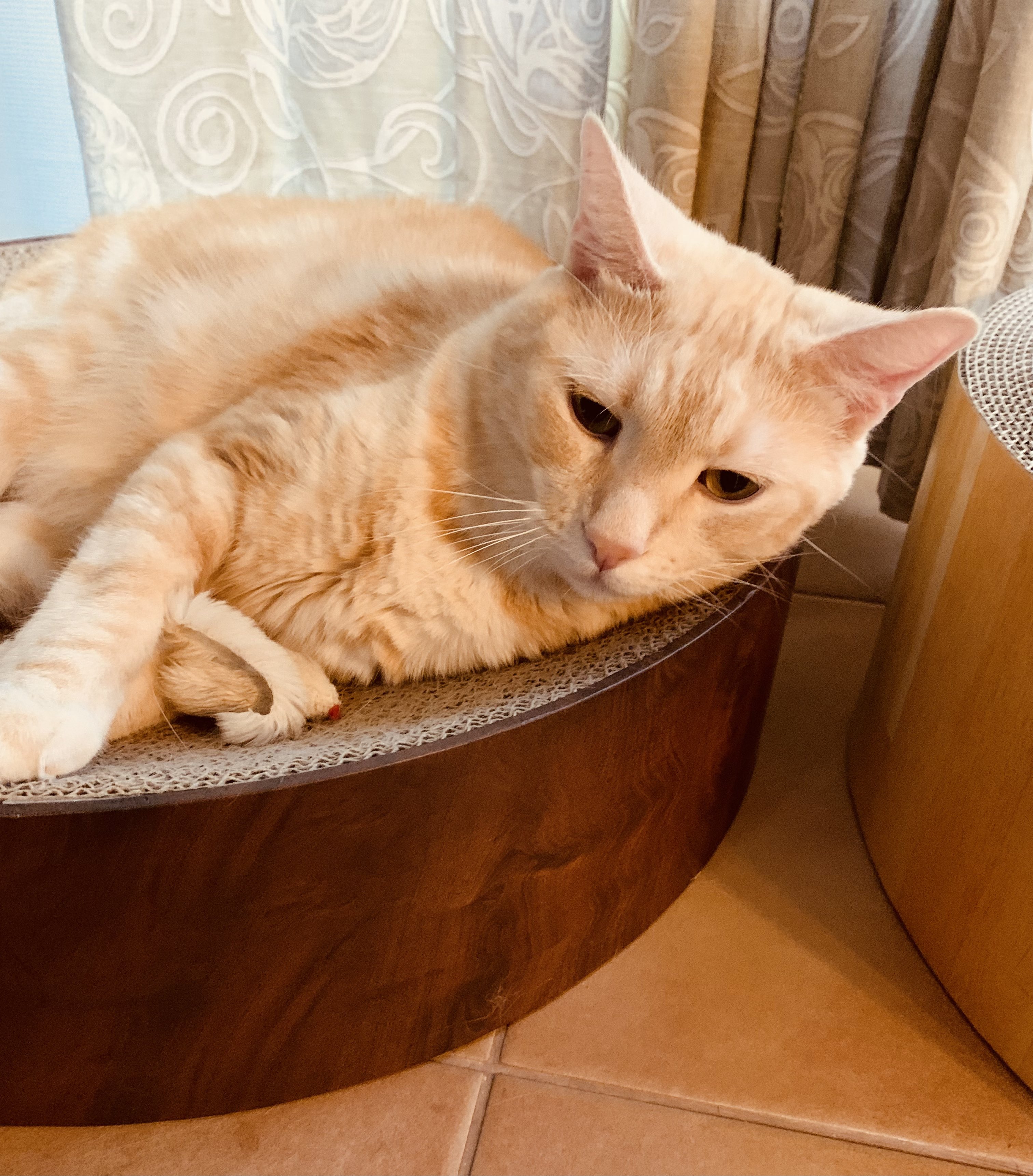 みみみ様　専用ページ ミミスキット らせん式ゴムの耳かき G-2190 G-2192 G-2193 GREEN