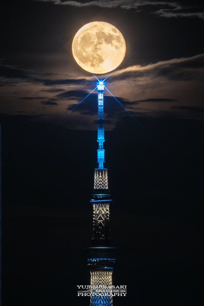 今日は中秋の名月🌕🐰 曇っているので以前撮ったお月様でお月見を🎑