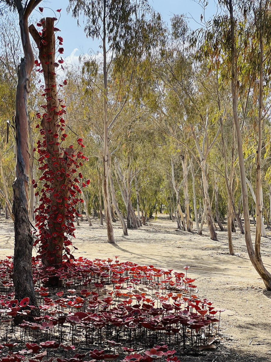 DegCult's tweet image. Colpi di mortaio, bombe e razzi si succedono a intervalli cadenzati, vicinissimi, qui dove si tenne il Nova Festival, mentre ancora si attende il rilascio degli ostaggi. Domani saranno due anni. Gaza è dietro la collina.

Ci sono sopravvissuti di quel giorno, e genitori,…
