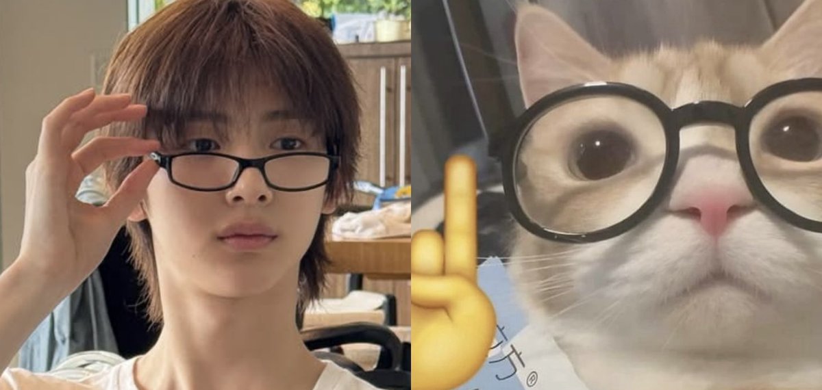 whos up for kittyhoon