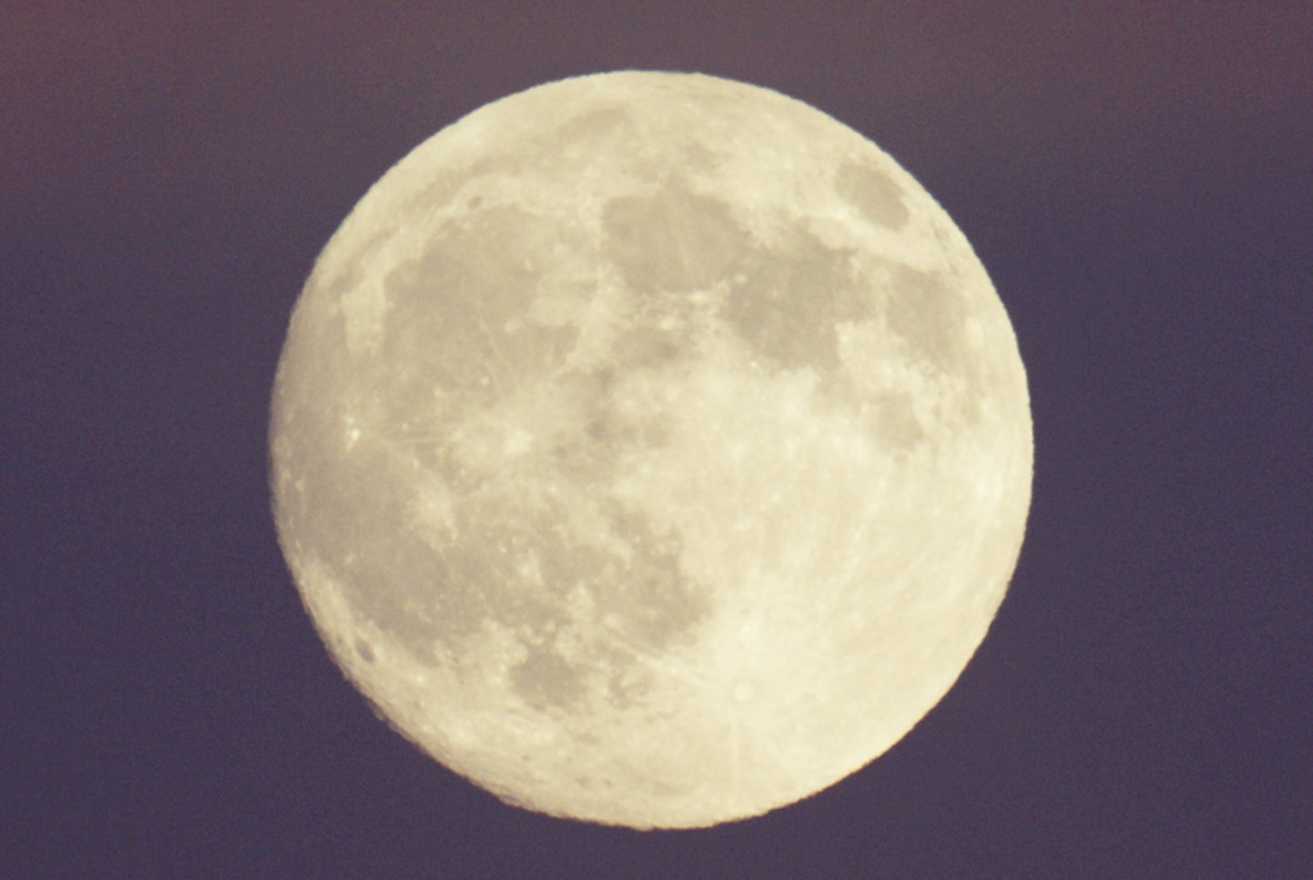 ❀ 10月中 10TH ANNIVERSARY LIMITED】ALL STAR J OX NAVY (MEN'S