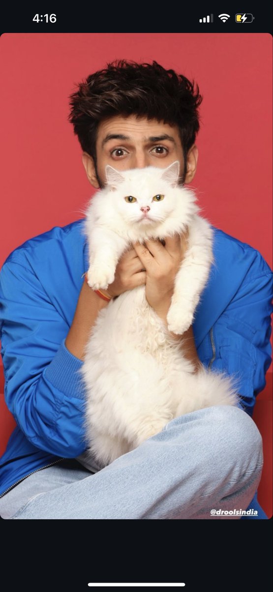 KartikAaryanFan's tweet image. I ASKED #ChatGPT 

What is cuter than a cat? 

They said -