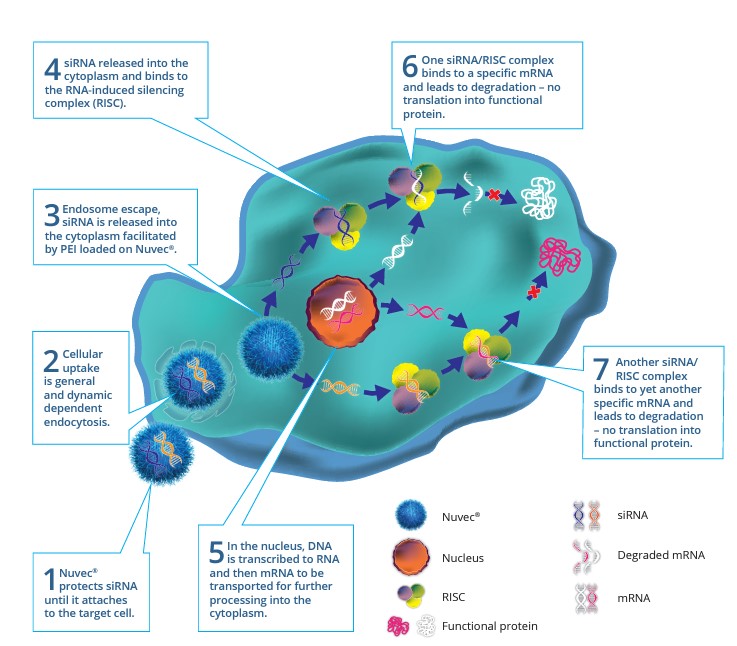 N4 Pharma tweet media