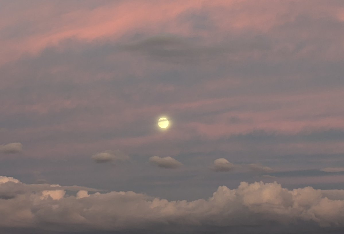 pillbug_dango's tweet image. 今日は満月かな？と思ったら明日だった。今日は今日で、ぼんやりきれいやで。