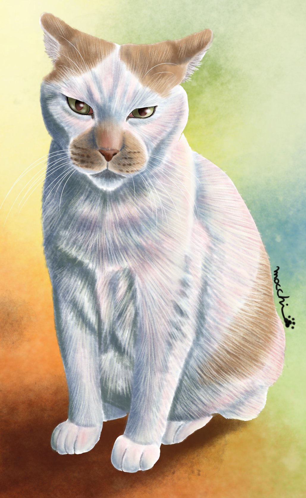 ⑲もっちー.。◦♡‬ Tモノグラム コントラスト エンボス ジップカードケース