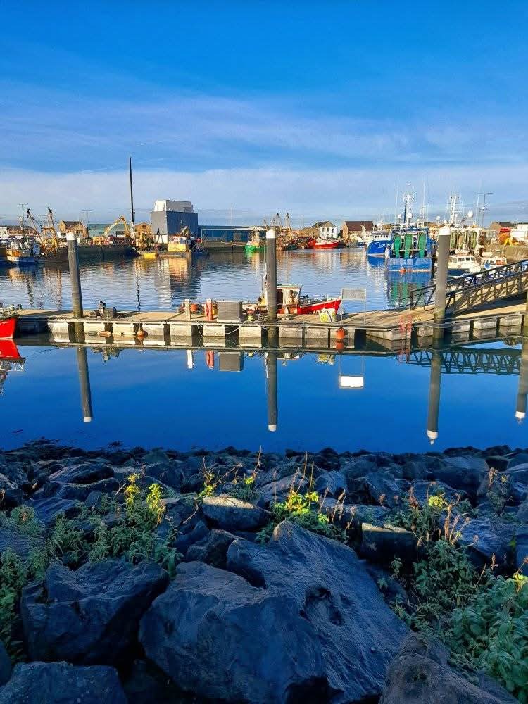 ThisIsIreland3's tweet image. What a beautiful place Howth is 🌅 Peace and tranquility 💚

📍 Howth, Co. Dublin ☘️ 

📸 Eddie Kent

#Howth #Harbour #Peace #Ireland #Dublin #Tranquility