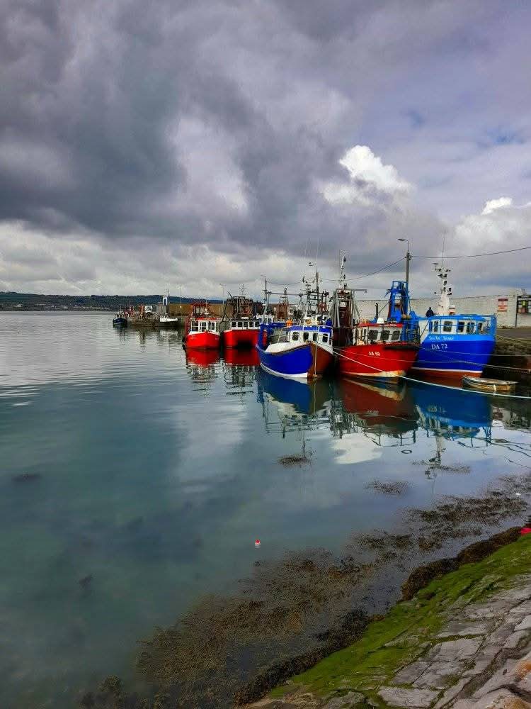 ThisIsIreland3's tweet image. What a beautiful place Howth is 🌅 Peace and tranquility 💚

📍 Howth, Co. Dublin ☘️ 

📸 Eddie Kent

#Howth #Harbour #Peace #Ireland #Dublin #Tranquility