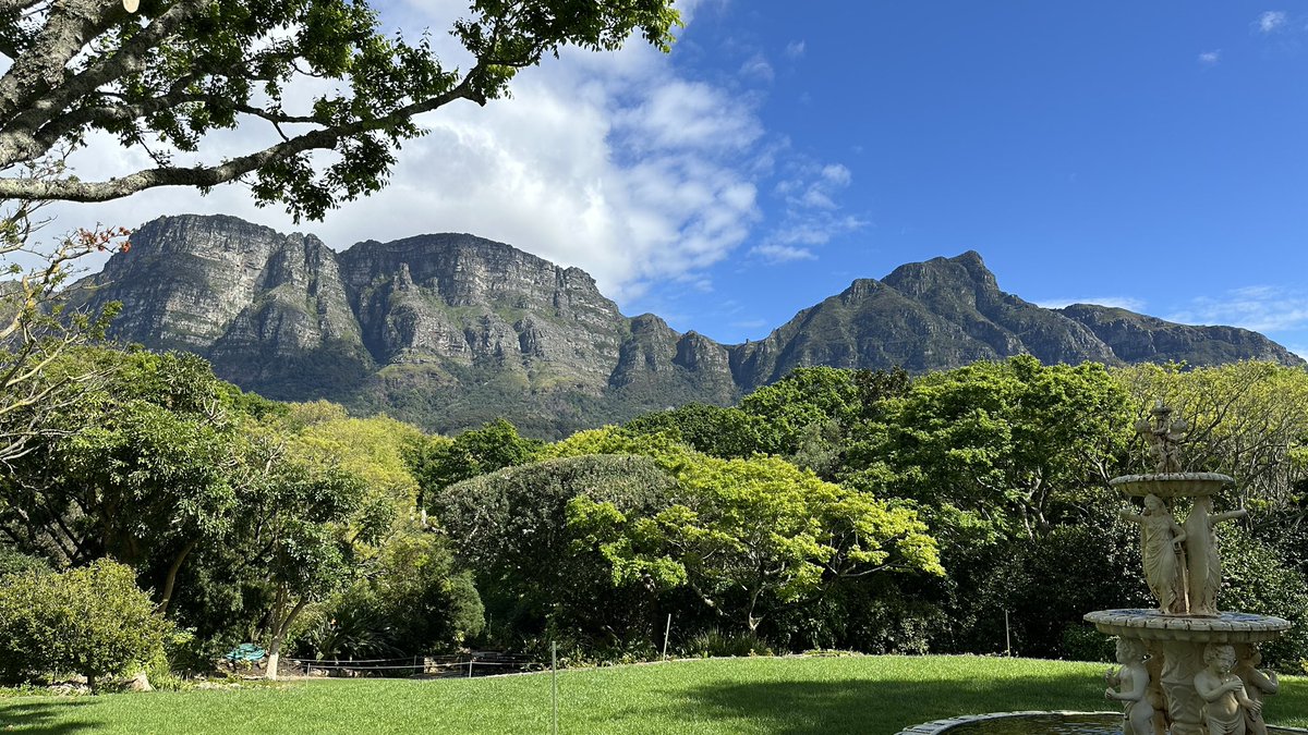 ISAJE_Addiction's tweet image. Couldn’t imagine a more beautiful setting for #ISAJE2025. See you soon! @Vineyard_Hotel ☺️