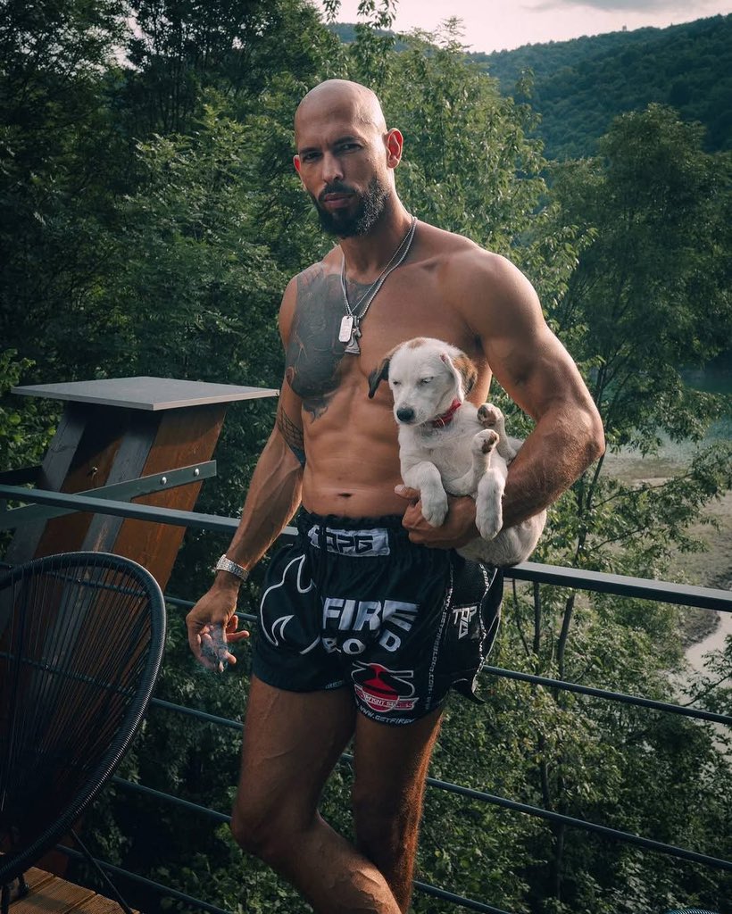 expcapematrix's tweet image. An Animal Isn’t Happy In The Zoo. It Survives And Is Comfortable, But Misery Haunts Its Soul.

This Is Why Most Of You Are Unhappy. 

Do You Understand? 🤔