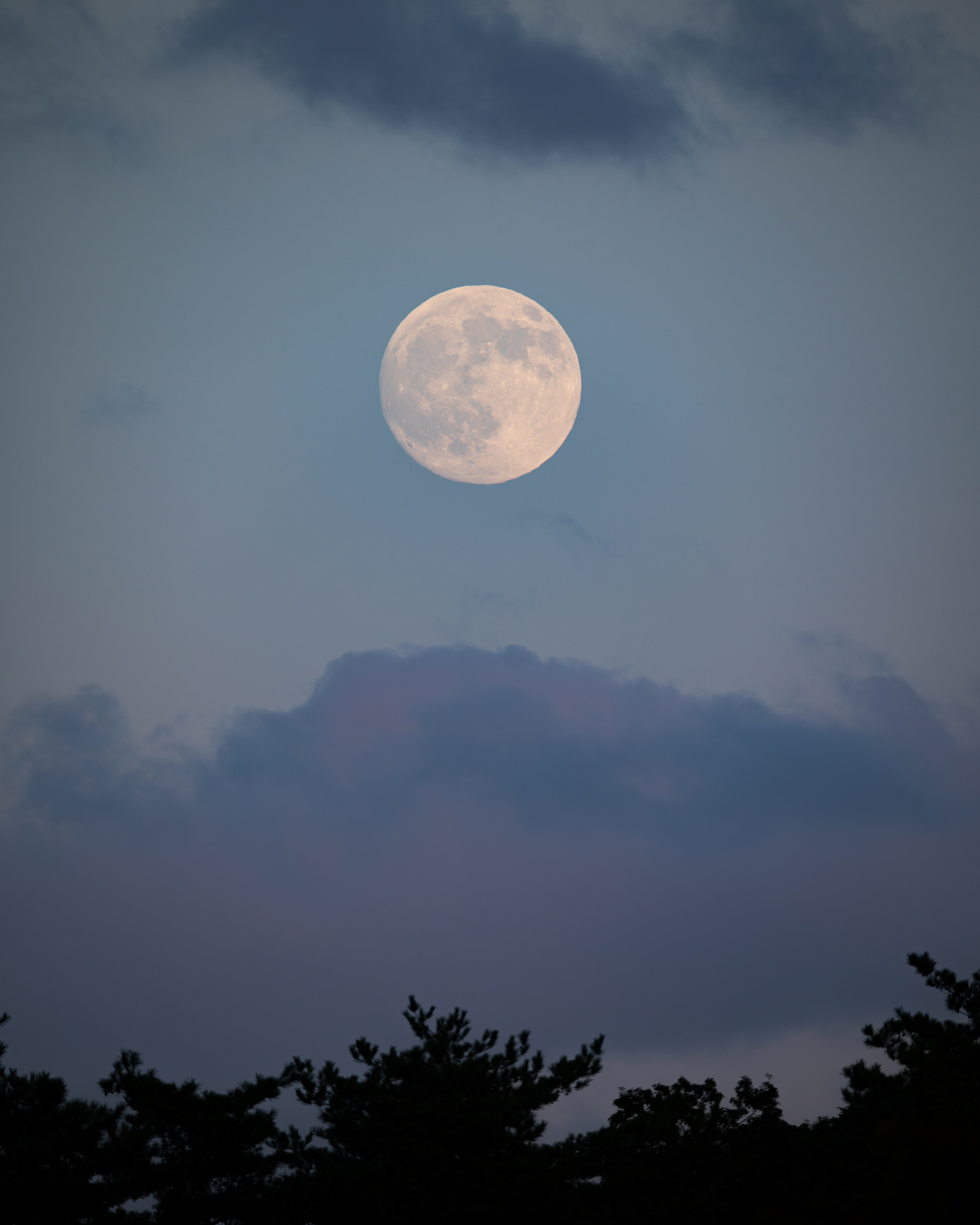 星の観察館「満天星」 on X: 