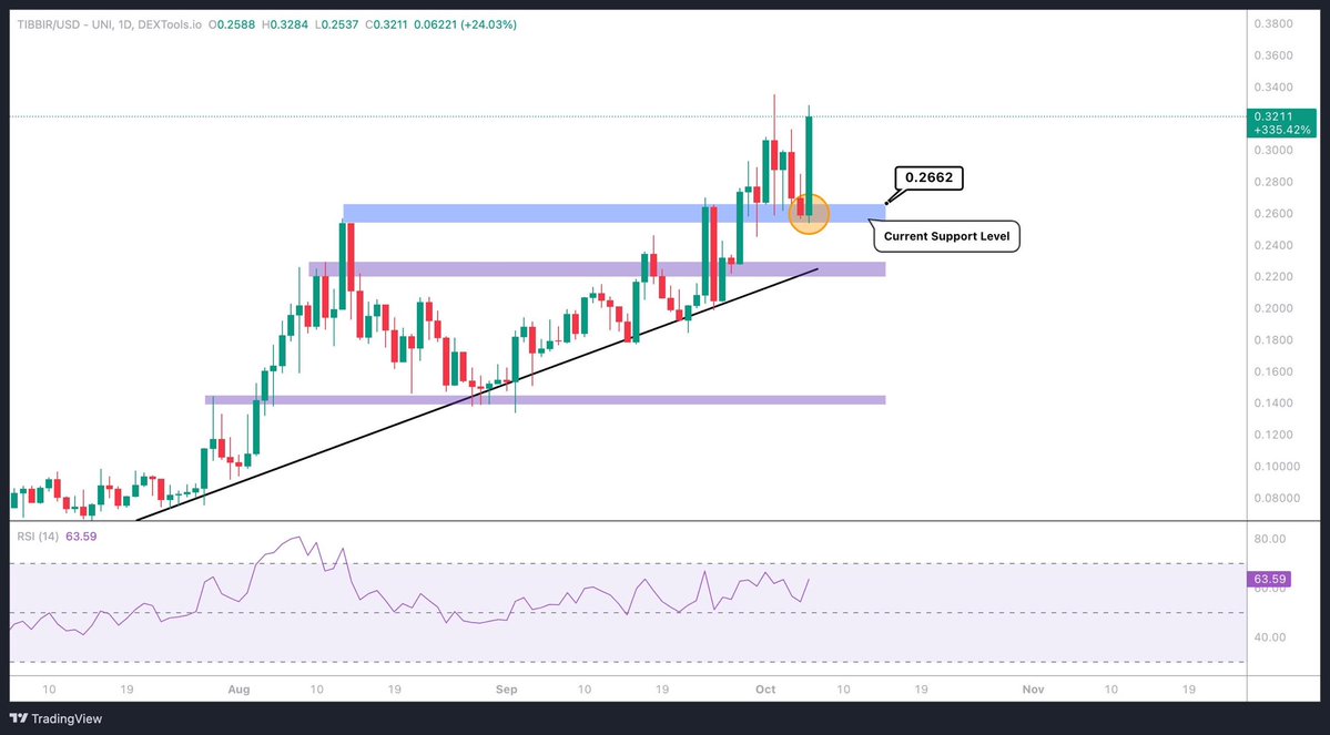 $TIBBIR price chart showing retest and bounce