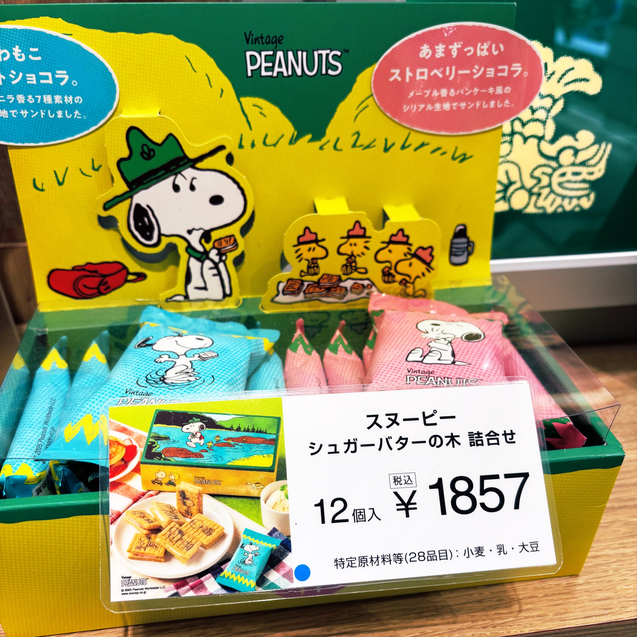 PSA9 ブースター スター ☆ 1ed WCP 011/108 プロモ ブースタースター