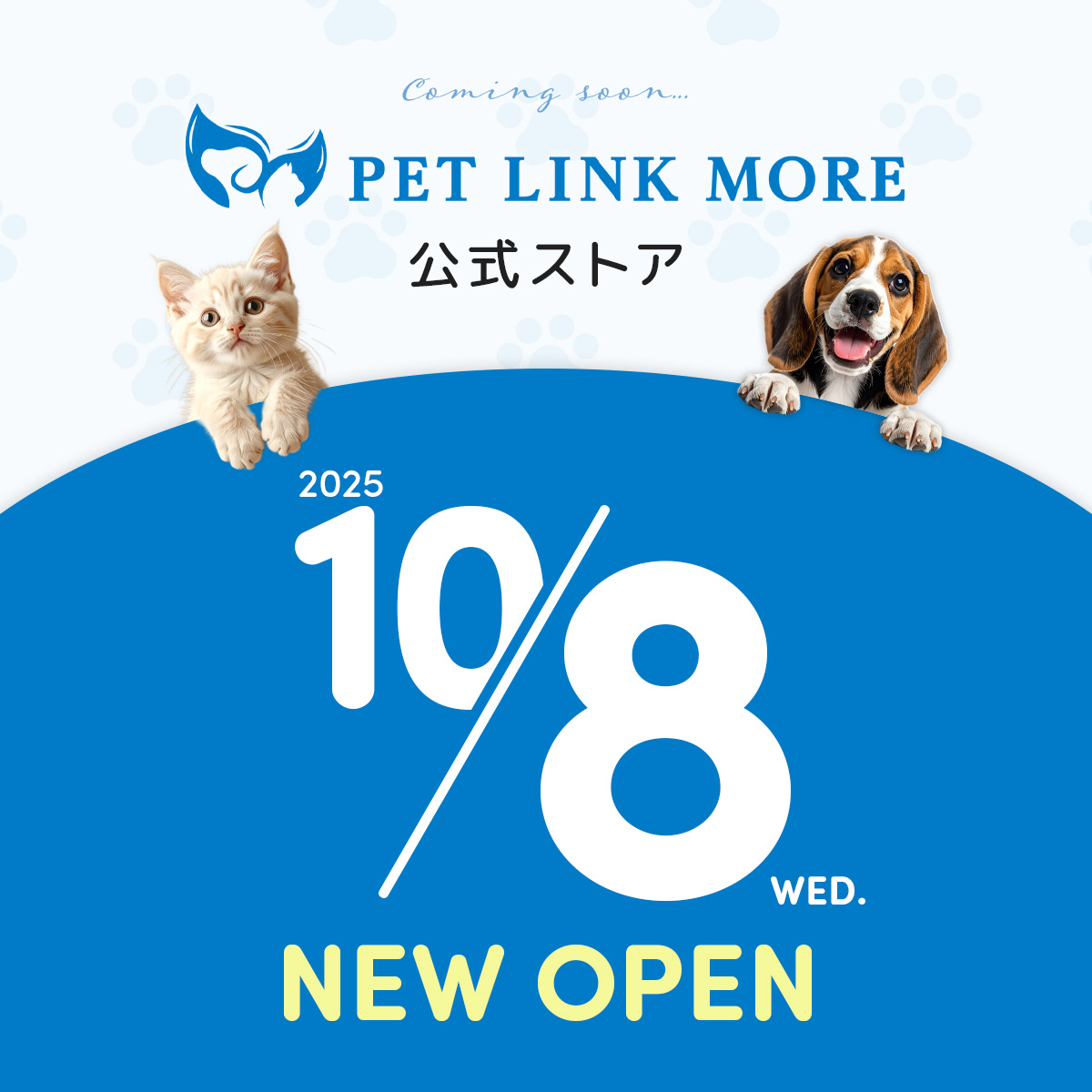 PET LINK MORE ｜わんにゃん専用の口腔ケア tweet media