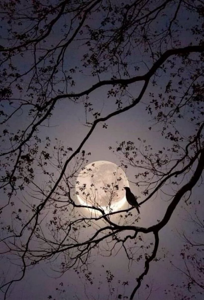 MOON LOVER (@m1onlover) on Twitter photo 