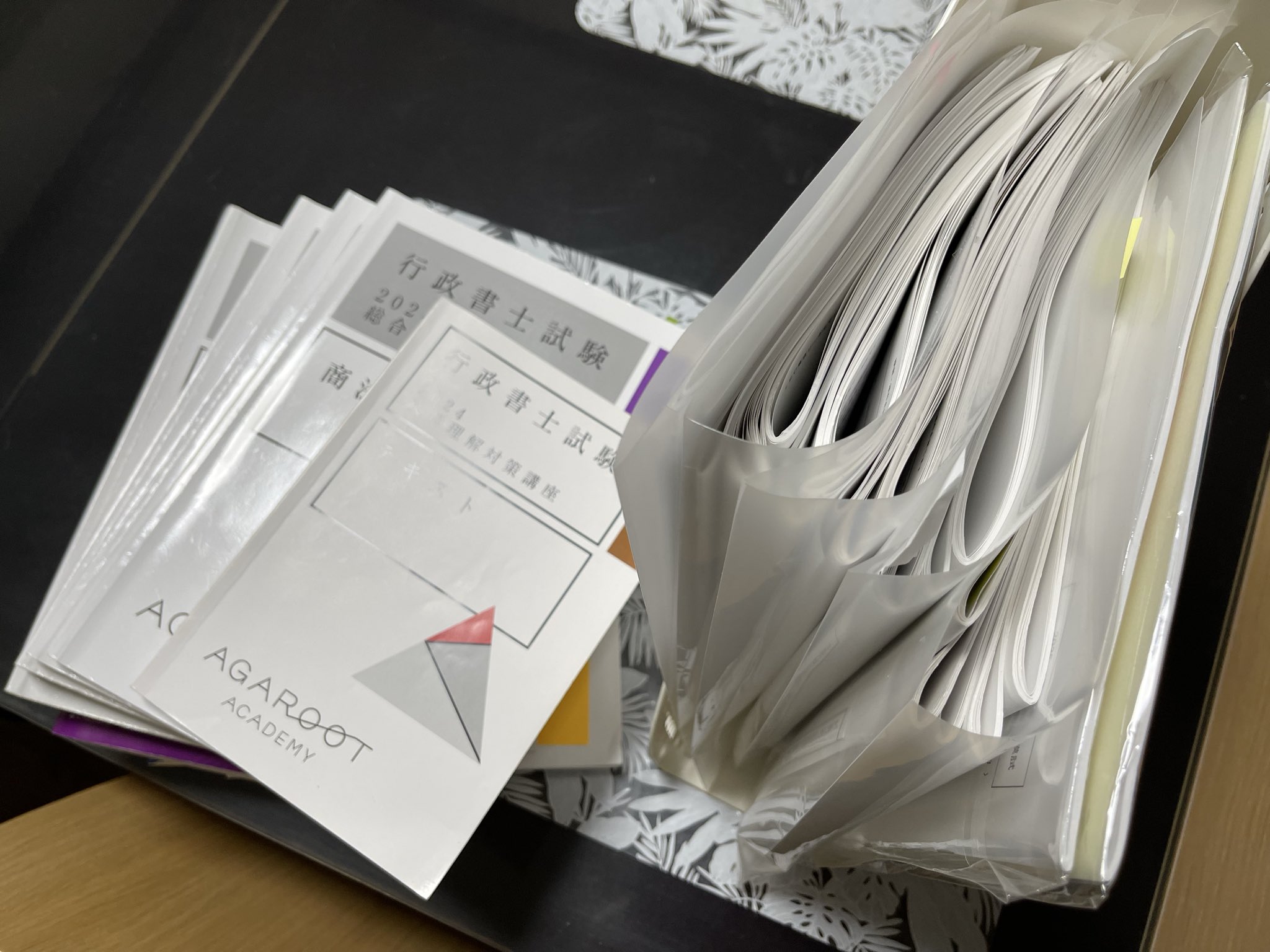 2025年行政書士　ちゅこらさん専用 2025年行政書士 ちゅこらさん専用