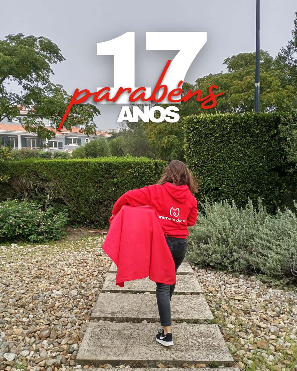 17 anos a mudar vidas! 🐾 

Hoje celebramos o aniversário da Animais de Rua, uma missão feita de dedicação, amor e milhares de histórias transformadas 🐶🐱

Graças à força dos nossos voluntários e ao apoio de todos, já conseguimos melhorar a vida de mais de 60 mil animais ❤️