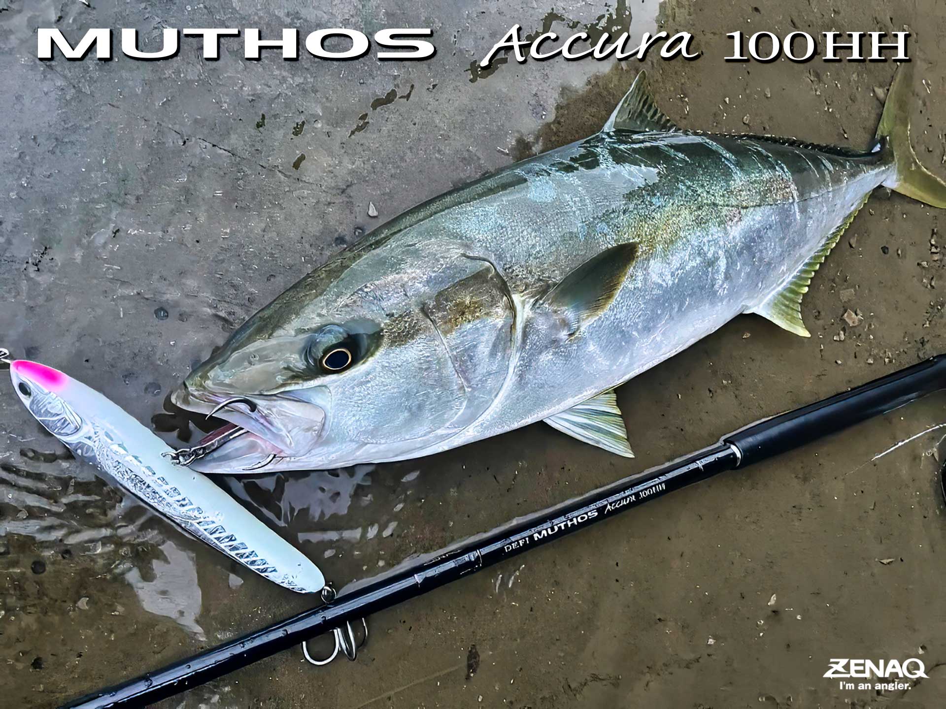 ☆連休セール中値下げＯＫ！ロッド　⑩ Friday エギングロッド ＆ ライン付きリール セット (egingset