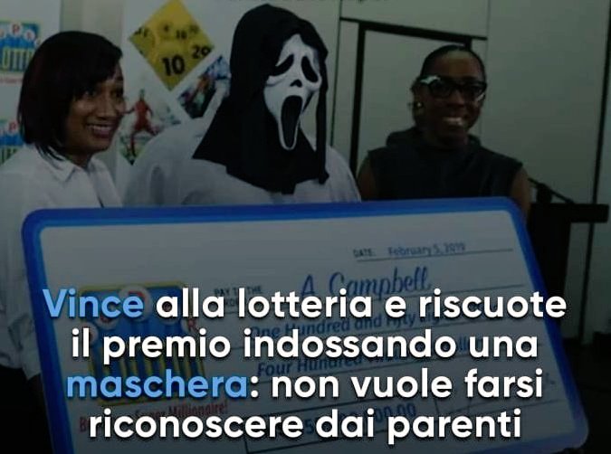 Luci tweet media