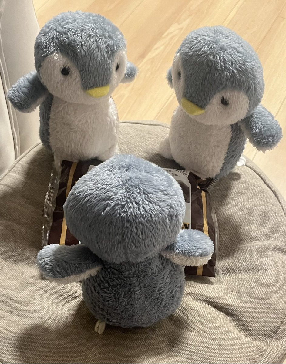 ペンギンBrothers (@penguin131517) / Posts / X
