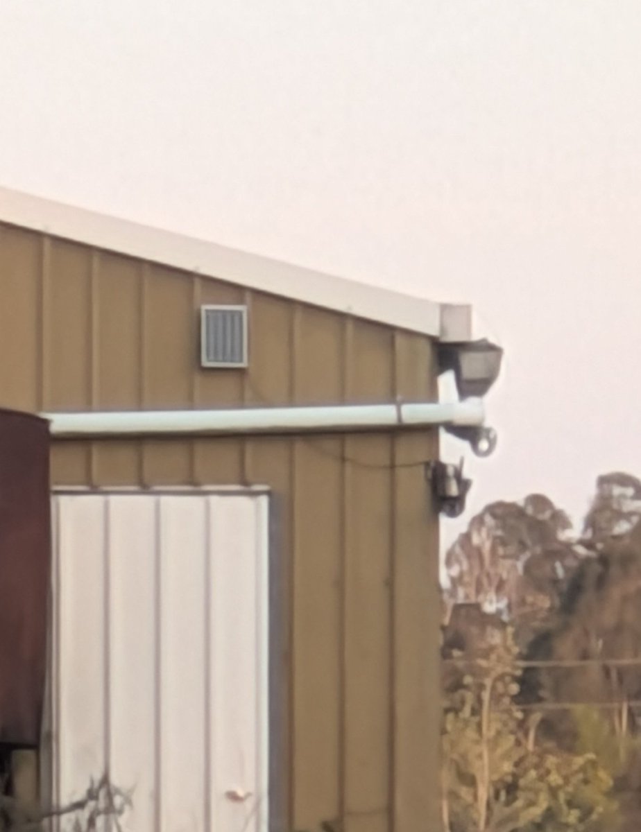 SunriseTerror tweet media