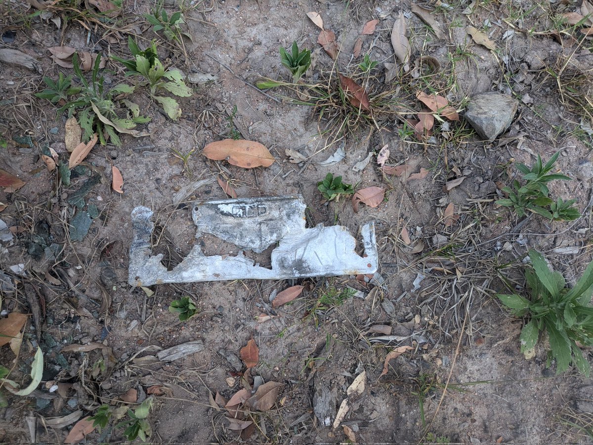 SunriseTerror tweet media