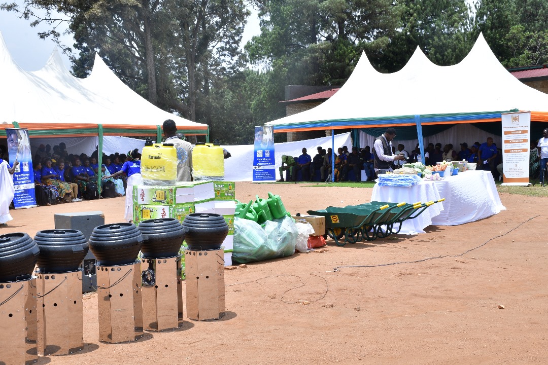 SAFE NGO tweet media